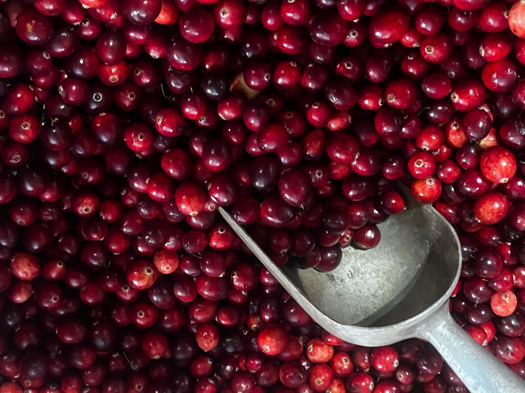 Fruits riches en vitamine C